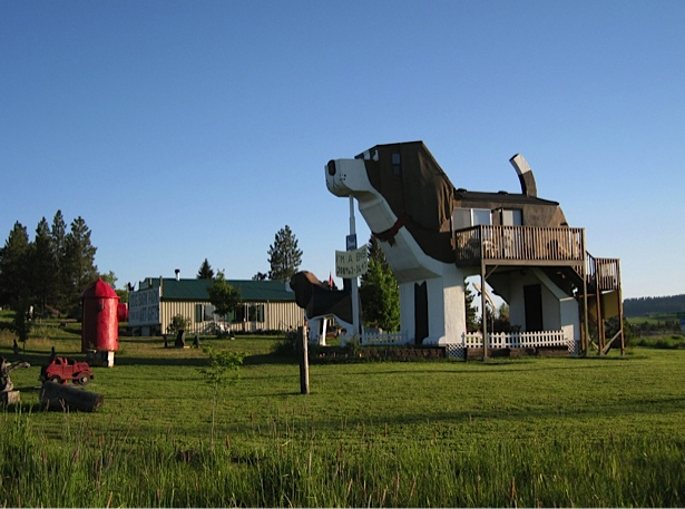 DOG BARK PARK INN