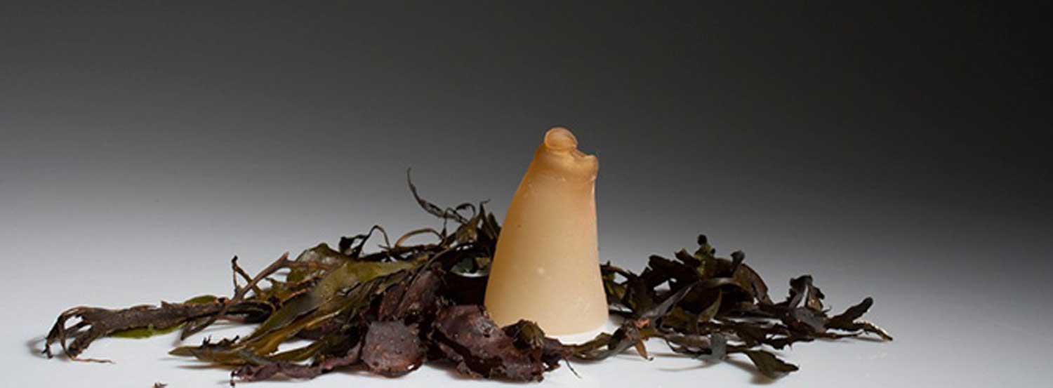 DESIGN CON OGGETTI DI RICICLO_Bottiglia biodegradabile